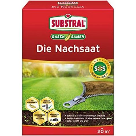 Semi substral die nachsaat germinazione rapida crescita a bassa temperatura (1/5)