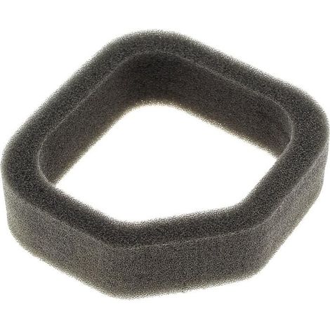 Filiyano-Filtre à air 5131028328 - Coupe-bordures Ryobi - Filtre multicolore (1/2)