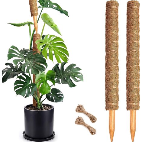 Stapelbare 50 cm lange Schaumstoff-Pflanzenstützen, 2er-Pack, robuste Pflanzenstütze aus natürlicher Kokosfaser, verstellbares Rankgitter für Zimmerpflanzen, ideal für Monstera, Efeutute und