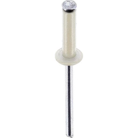rivet épanoui blanc ø 4 x 16 mm plaque d'immatriculation