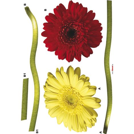 Gerbera, Sticker mural deux grandes fleurs rouge et jaune - 50x70 cm (1/3)