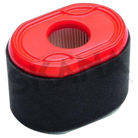 Filtre à Air Briggs & Stratton Origine 796970.