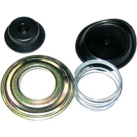 Kit membrane aspirante filtre à gasoil Diesel Roto-diesel / Lucas