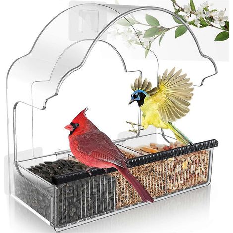 Mangeoires à oiseaux de fenêtre pour l'extérieur, mangeoire transparente avec 3 feuilles adhésives résistantes, transparente (1/4)