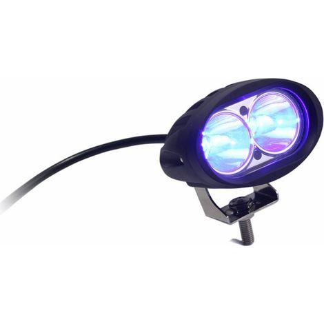 Faro da lavoro a 2 LED a lungo raggio Spot blu 10W IP67 (1/3)