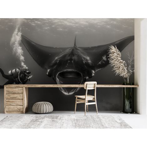 Papier peint animaux - plongeur face à une raie manta en noir et blanc - 150 x 250 cm (1/2)