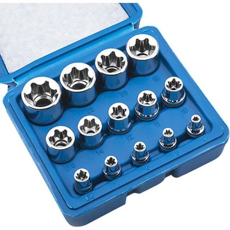 14 Pièces Jeu De Douilles Torx E - E4 E5 E6 E7 E8 E9 E10 E12 E14 E15 E16 E18 E20 E24 - Acier Chrome Vanadium - Pour Clés À Cliquet - Atelier Mécanique Bricolage (1/4)