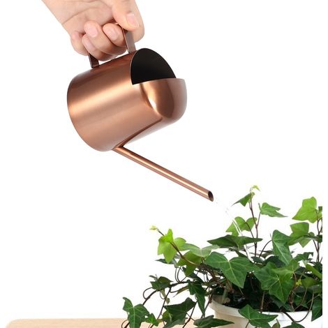 Arrosoir de 300 ml en acier inoxydable avec long bec verseur pour plantes et fleurs, idéal pour un usage domestique. (1/5)