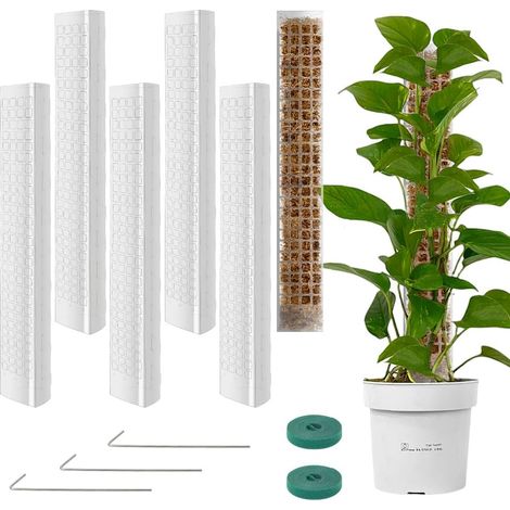 Tuteur Plante en Plastique,6pcs Tuteur Monstera, Tuteurs Plante Grimpante, Poteaux en Mousse Transparent,Poteaux Grimpantes pour Maison Jardin de Support de Plantes (1/5)