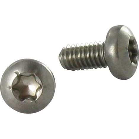 Vis autotaraudeuse Inox A2 Tête cylindrique bombée TCB TORX 4X8 TORX T20-1 pièce