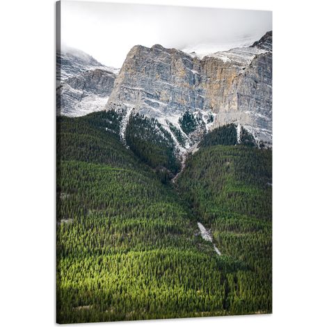 Stampa su tela Natura Montagna Alberi 60x90