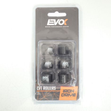 Variomatik-Rolle EVOK für Roller Peugeot 50 Ludix Snake 10P Neu (1/4)