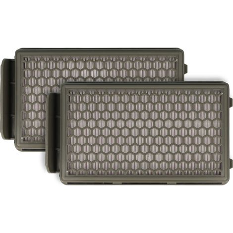 vhbw Set de 2x filtros compatible con Rowenta RO3969EA, RO3985EA, RO3995EA, RO398, RO399 aspiradora - Filtro HEPA antialérgico