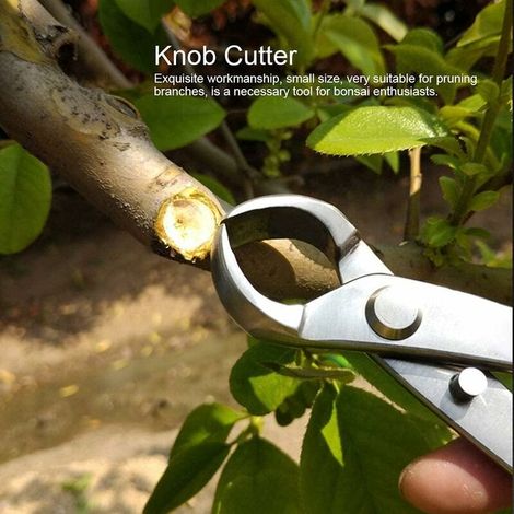 Green Mobility-Bonsai Sécateur Feuilles, Coupe-bonsaï concave Coupe-Branches Bonsaï Cutter pour Jardin Branche Bonsaï Outils, 180mm (1/3)