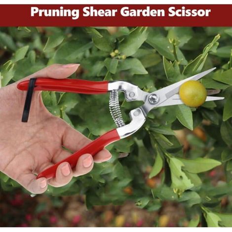 Sécateur, sécateur en acier inoxydable, sécateur de jardin, lame droite professionnelle, rouge. (1/5)