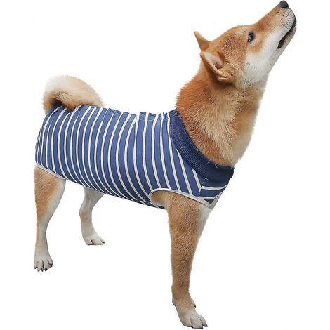 Combinaison de récupération pour chiens souffrant de plaies abdominales, bandages, collerette, alternative à la collerette, chemise de protection professionnelle pour chiens et chats après une interve (1/5)