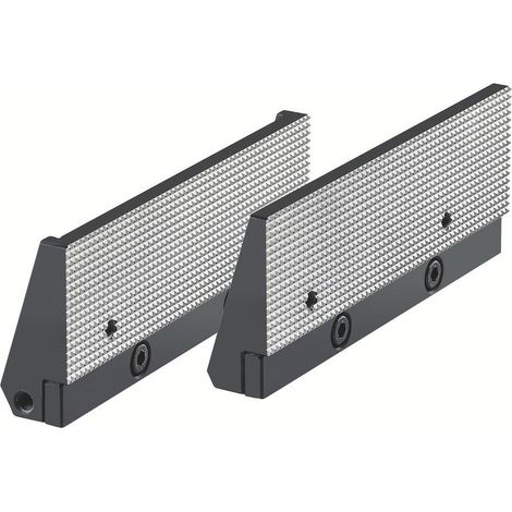 Inserti standard Röhm finemente zigrinati NCSf, dimensione 4, larghezza ganasce 160 - 163229 (1/3)