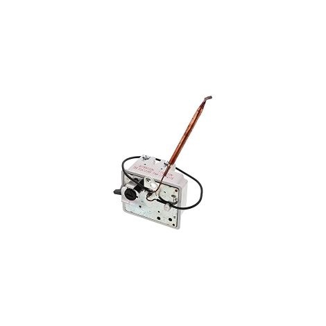 Termostato BSD 370 mm Bipolare per Corerm di scaldabagno - BSD2