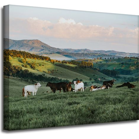 Leinwanddruck „Natur, Weide und Kühe“, 50 x 40 cm