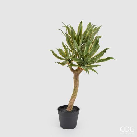 EDG Enzo De Gasperi Agave Chic 3 Rami Vaso Artificiale H 70 Cm Yellow Green (1/4)