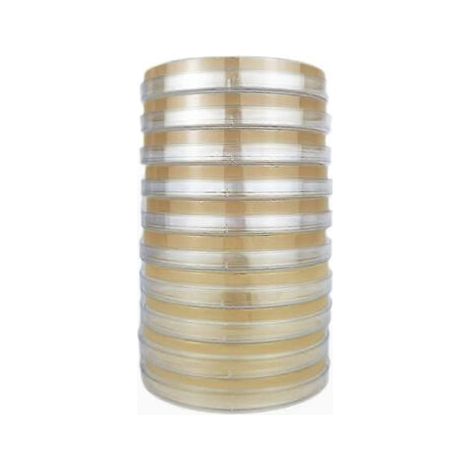 Boîtes de Petri contenant de la gélose pour la culture de champignons, destinées aux expériences de laboratoire et aux projets scientifiques à domicile - 10 boîtes (1/5)