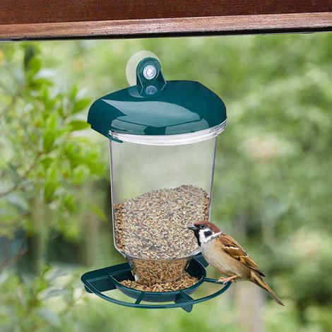 Distributeur Automatique à Vues pour Oiseaux avec Ventouses - Distributeur Transparent PP - Dimensions 22.5x10.5x14cm - Kit 1 (1/5)