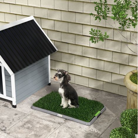 Toilette per cani con 2 tappetini in erba, vassoio educativo verde 67 x 41 cm FLORAGRACE (1/5)