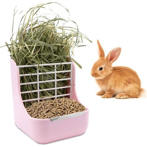 Mangeoire à foin pour lapin et cochon d'Inde, 2 en 1 automatique pour petits (1/5)