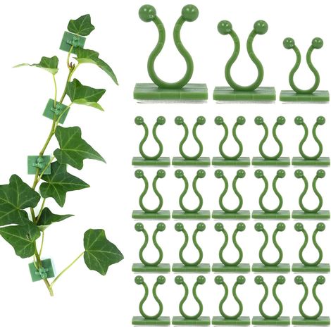 fixation murale pour plantes grimpantes avec 72 autocollants adhésifs en acrylique pour fixation invisibles pour décoration intérieure et extérieure (1/5)