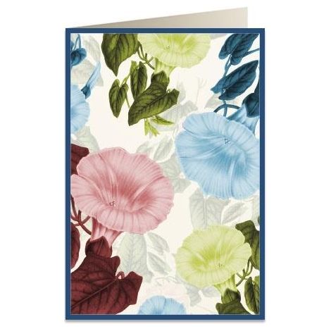 B6 Karte + Umschlag 5964 Bindweed
