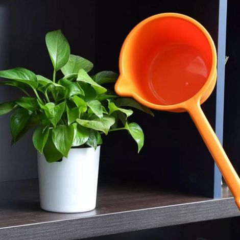tasse à eau Louche à eau à Long manche, épaissie, trempette d'eau de cuisine, douche en plastique, tasse de table cuisine (1/4)