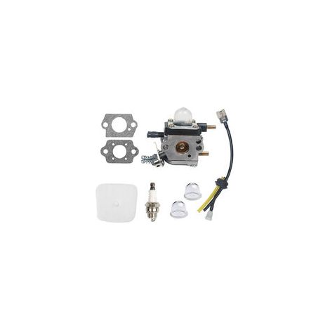 Carburateur C1u K54a pour motoculteur Mantis 7222 7222e 722m 7225 7230 7234 7240 7920 7924-niubi