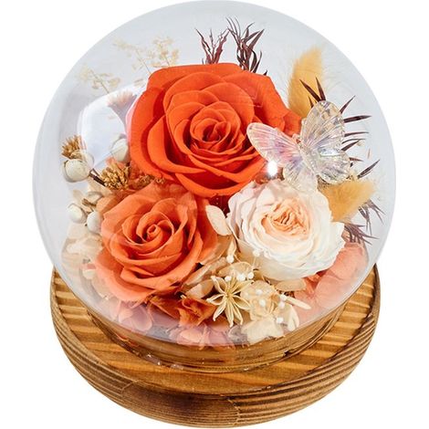 Rose préservée sous cloche en verre - Cadeau de rose - Pour anniversaire et Noël - Décoration romantique - Pour femme - Orange - 1 pièce (1/5)