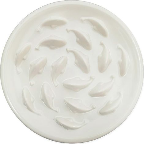 Animal alimentation lente Dish pour chats et petit chiens, poisson Pool Design, amusant Interactive Bloat Stop Puzzle (1/5)