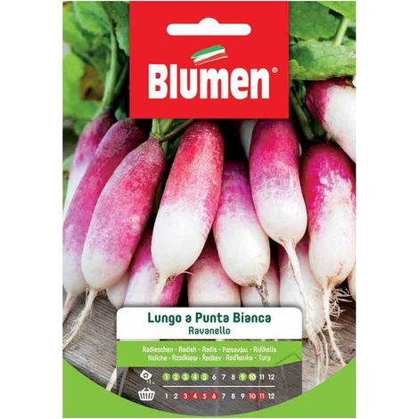 SEMI DI RAVANELLO LUNGO PUNTA BIANCA BLUMEN