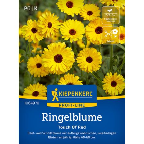 Kiepenkerl Profi-Line Blumensamen Ringelblumen Touch Of Red für ca. 80 Pflanzen