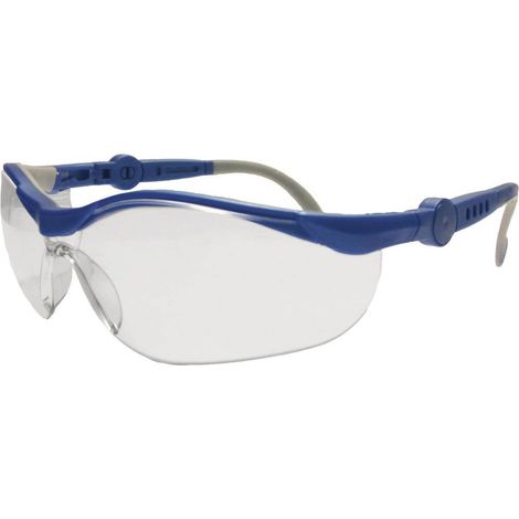 Leipold Doehle 2675 Lunettes de protection bleu, gris EN 166-1 DIN 166-1 (1/2)