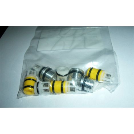 KIT VALVOLE COMPLETE PER POMPA IDROPULITRICE ANNOVI REVERBERI 6.005.0595