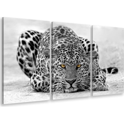 Tableau triptyque Tableau photo guépard en chasse - 90x60 cm (1/5)