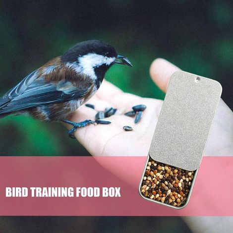 Silver White Parrot Training Feeding Box  Portable Bird Food Bowl for Daily Training