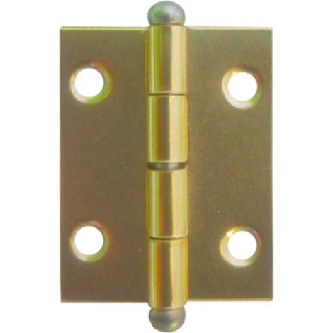 1PZ CERNIERA IN ACCIAIO OTTONATA MM.30X20 (1/2)