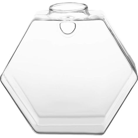 Vase en verre, pot suspendu, contenant pour plantes hydroponiques (1/4)