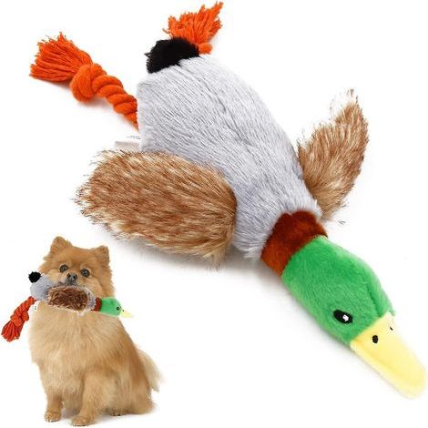 Plüschente für Hunde, weiches Plüschtier für Welpen, interaktives Kauspielzeug für kleine und mittelgroße Hunde zum Trainieren und Spielen (1/5)