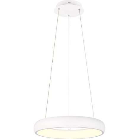 Lampada a sospensione LED bianca anello Ø46 29W Trio (1/3)