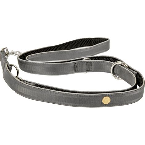 Laisse pour Chien Réglable 3 Positions Sangle Robuste Rembourrée Gris Argenté Tailles M et L - PANGIVO (1/5)