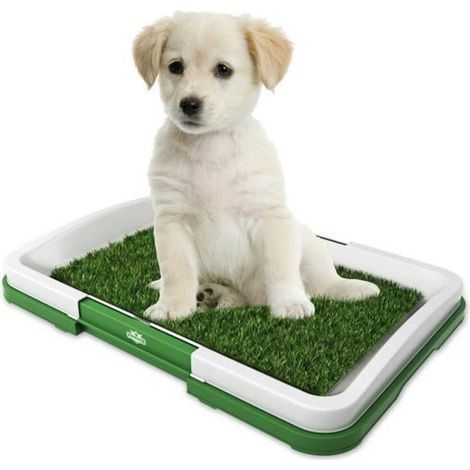 1 unité Toilette pour Chiens, plateau propreté avec grille + gazon artificiel, bac à litière intérieur pour chiots et petits chiens