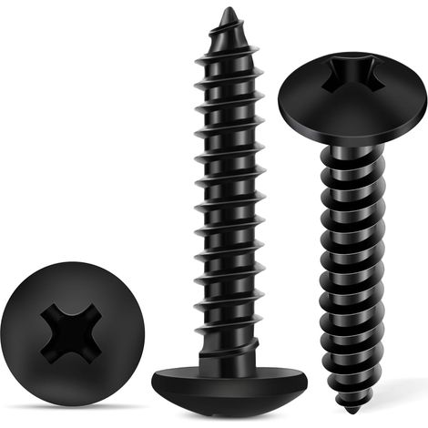 Lot de 100 Vis à Bois - Acier Inoxydable Noir - Tête Lentille PH2 - Résistant Corrosion - Intérieur Extérieur - 4x20 mm (1/5)