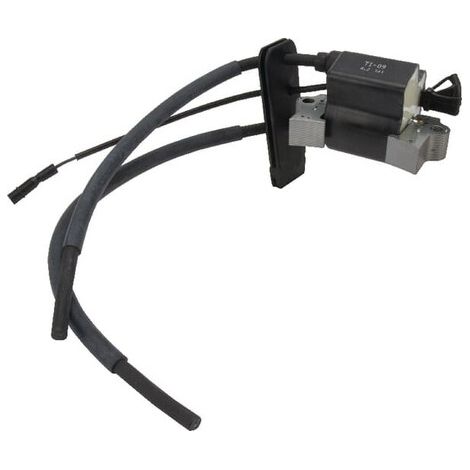Bobina accensione Honda HONDA 30500ZA0701