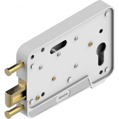 Store Menuiserie – Serrure EA à pêne levant en applique pour portes de garage – Composite résistant – Épaisseur 20 à 32 mm – Cylindre non fourni (1/4)