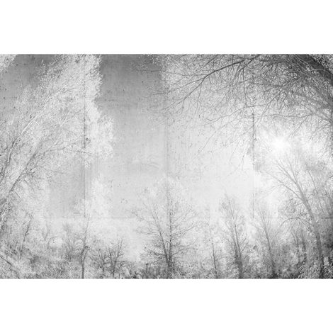 Papier peint panoramique noir & blanc paysage forêt Tapisserie panoramique nature pour salon Papier peint panoramique élégant pour chambre (1/3)